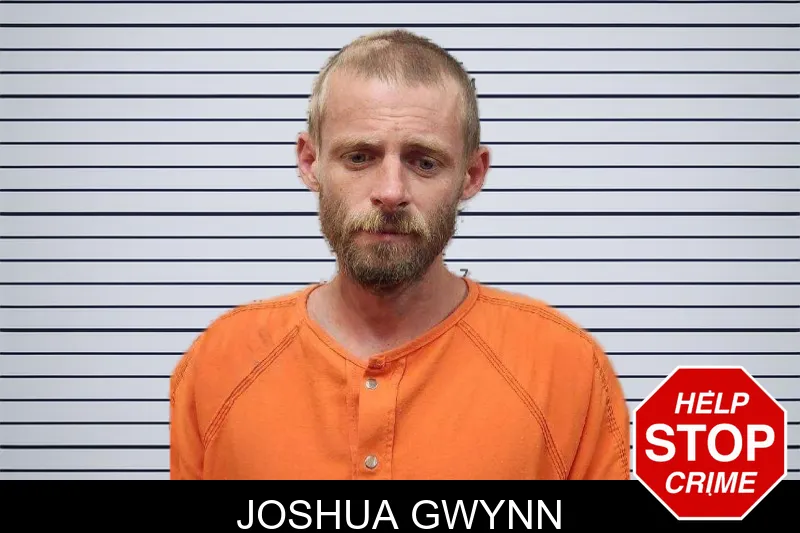 Joshua Gwynn mugshot