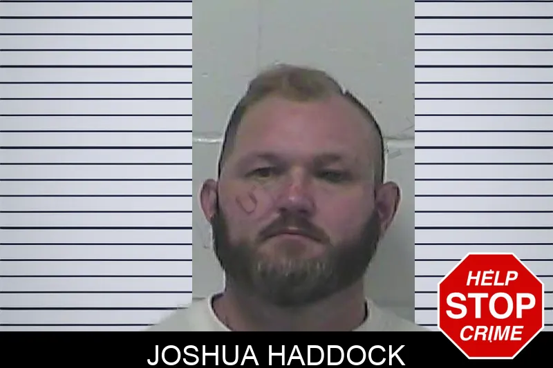 Joshua Haddock mugshot – Dawson County , Georgia Joshua Haddock mugshot