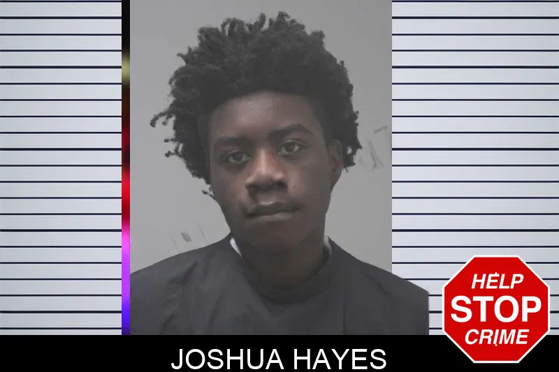 Joshua Hayes mugshot – Coweta County , Georgia Joshua Hayes mugshot