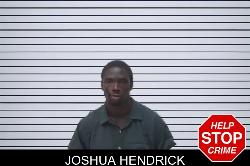 Joshua Hendrick mugshot – Irwin County , Georgia Joshua Hendrick mugshot