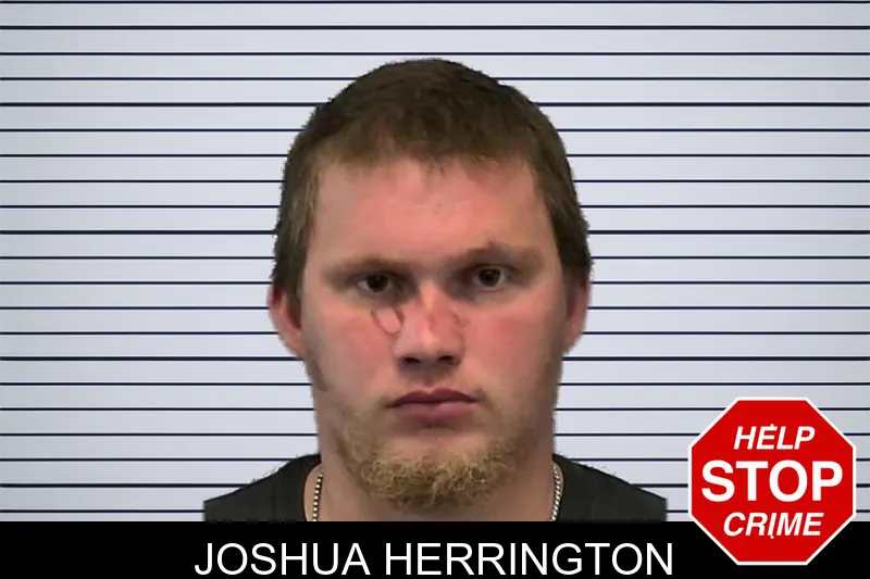 Joshua Herrington mugshot