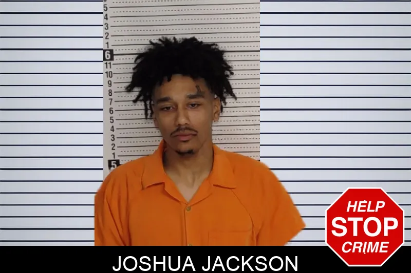 Joshua Jackson mugshot