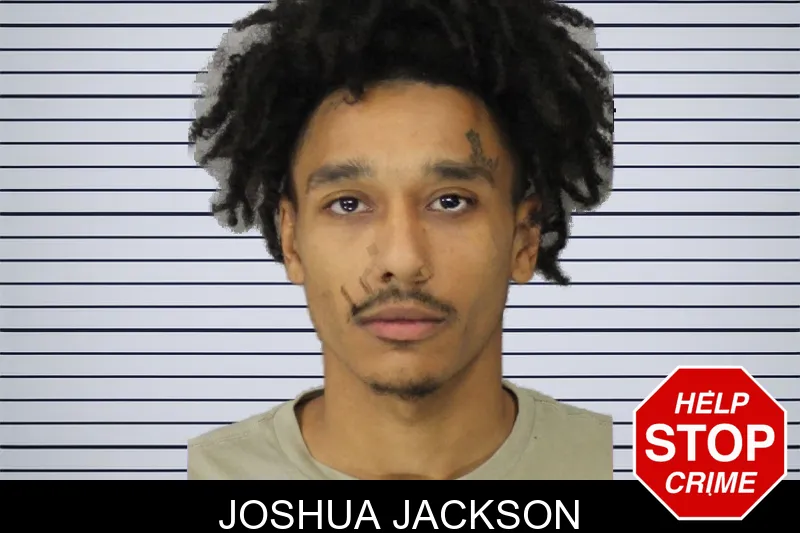 Joshua Jackson mugshot – Cobb County , Georgia Joshua Jackson mugshot
