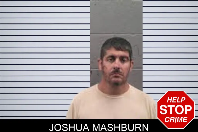 Joshua Mashburn mugshot – Banks County , Georgia Joshua Mashburn mugshot