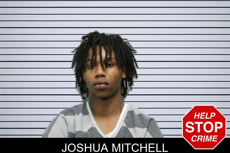 Joshua Mitchell mugshot – Harris County , Georgia Joshua Mitchell mugshot