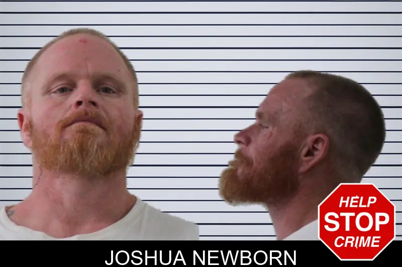 Joshua Newborn mugshot