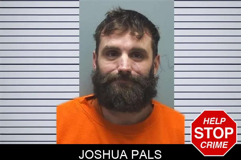 Joshua Pals mugshot
