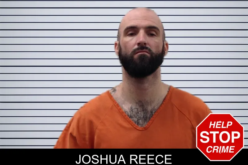 Joshua Reece mugshot