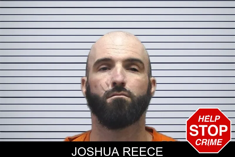 Joshua Reece mugshot – Cherokee County , Georgia Joshua Reece mugshot