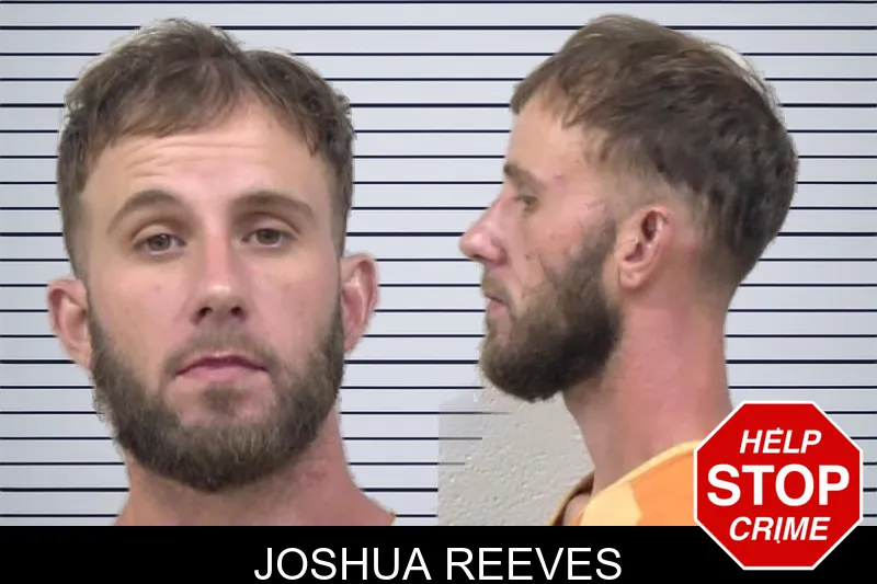 Joshua Reeves mugshot – Paulding County , Georgia Joshua Reeves mugshot