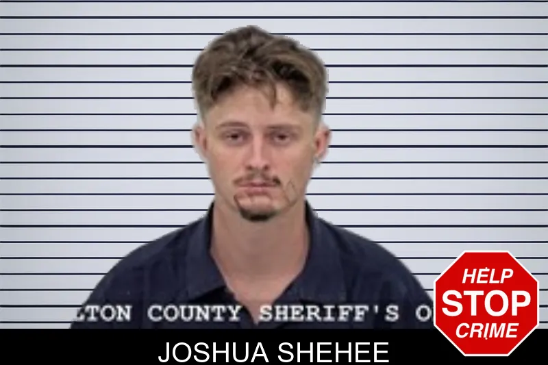 Joshua Shehee mugshot – Walton County , Georgia Joshua Shehee mugshot