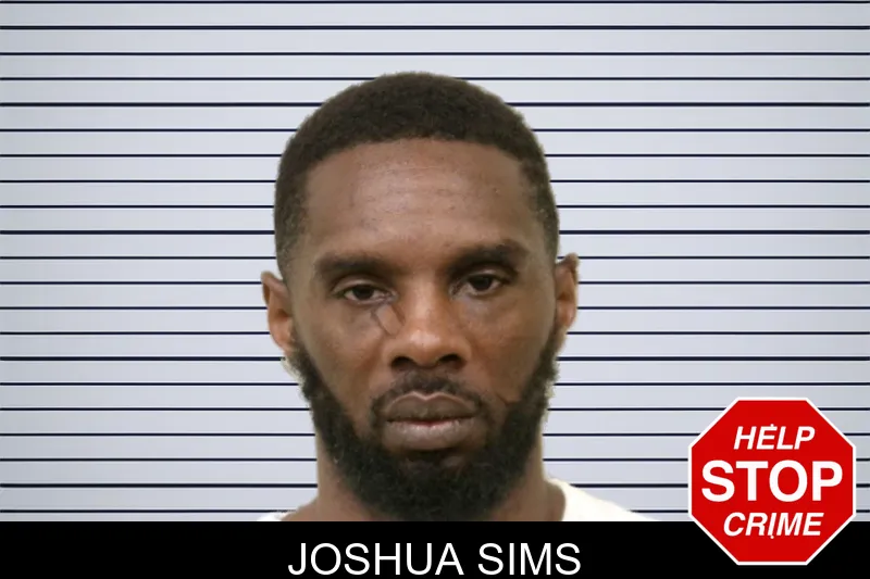Joshua Sims mugshot – Bulloch County , Georgia Joshua Sims mugshot