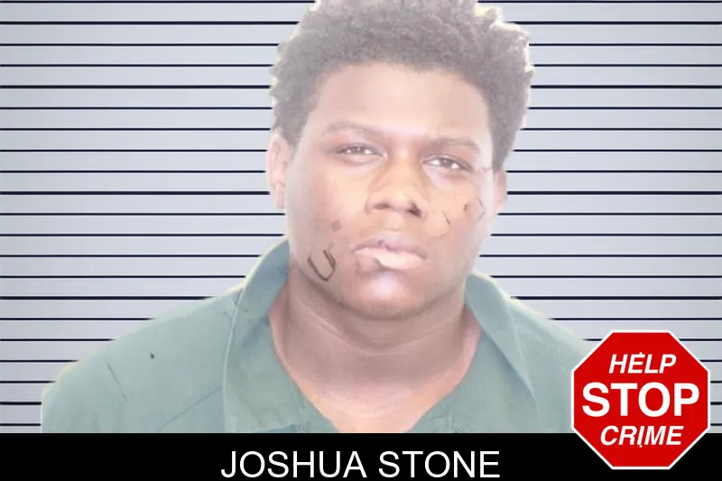 Joshua Stone mugshot – Chatham County , Georgia Joshua Stone mugshot