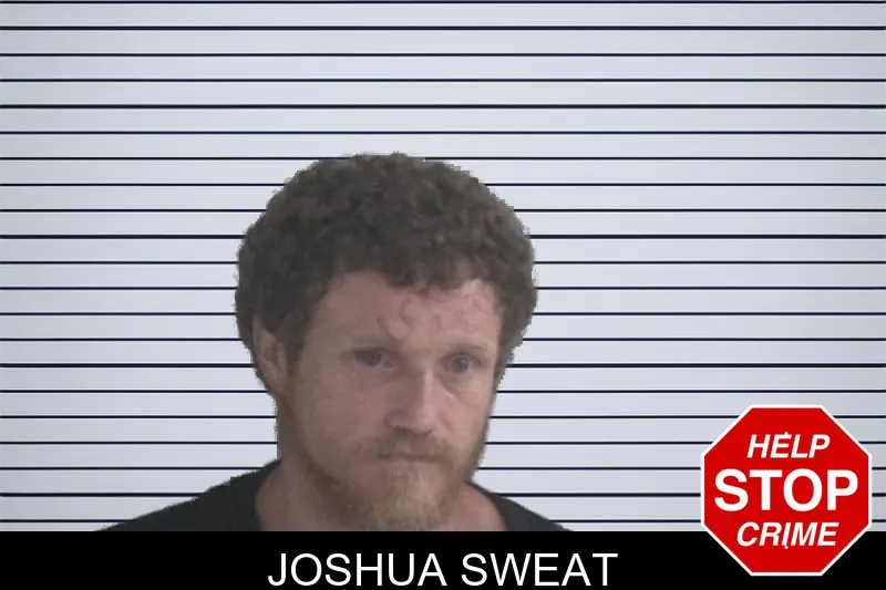 Joshua Sweat mugshot – Brantley County , Georgia Joshua Sweat mugshot