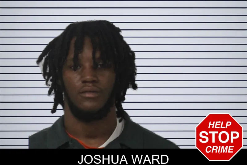 Joshua Ward mugshot – Mcintosh County , Georgia Joshua Ward mugshot