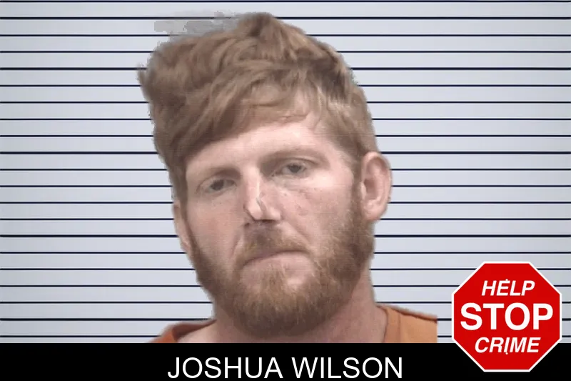 Joshua Wilson mugshot