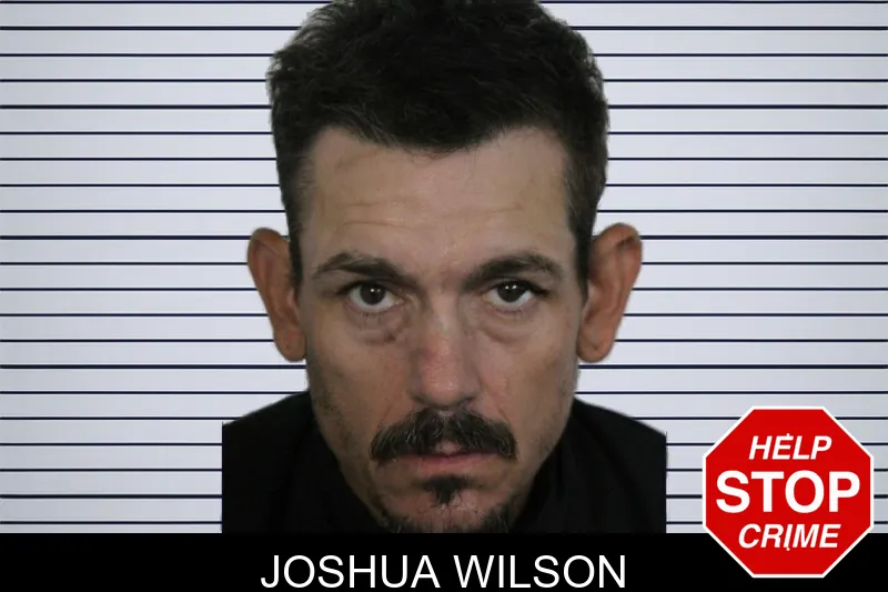 Joshua Wilson mugshot – Floyd County , Georgia Joshua Wilson mugshot