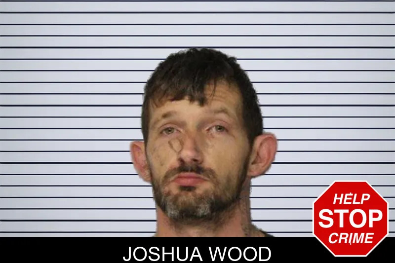 Joshua Wood mugshot