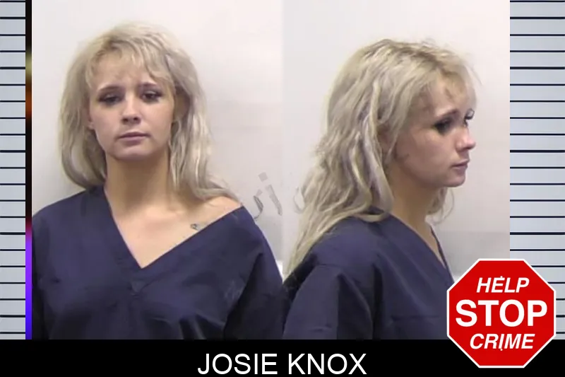 Josie Knox mugshot – Clarke County , Georgia Josie Knox mugshot