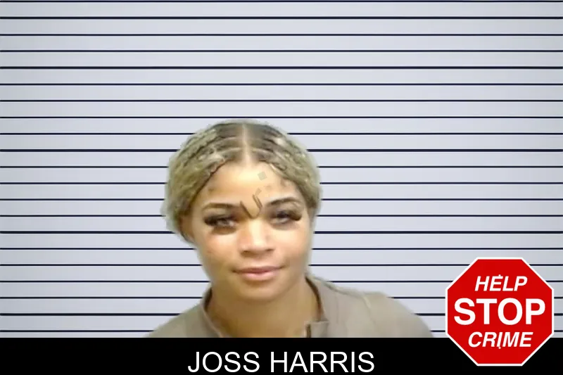 Joss Harris mugshot