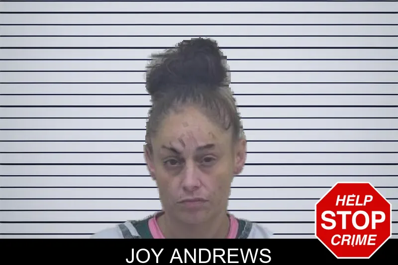 Joy Andrews mugshot – Coffee County , Georgia Joy Andrews mugshot