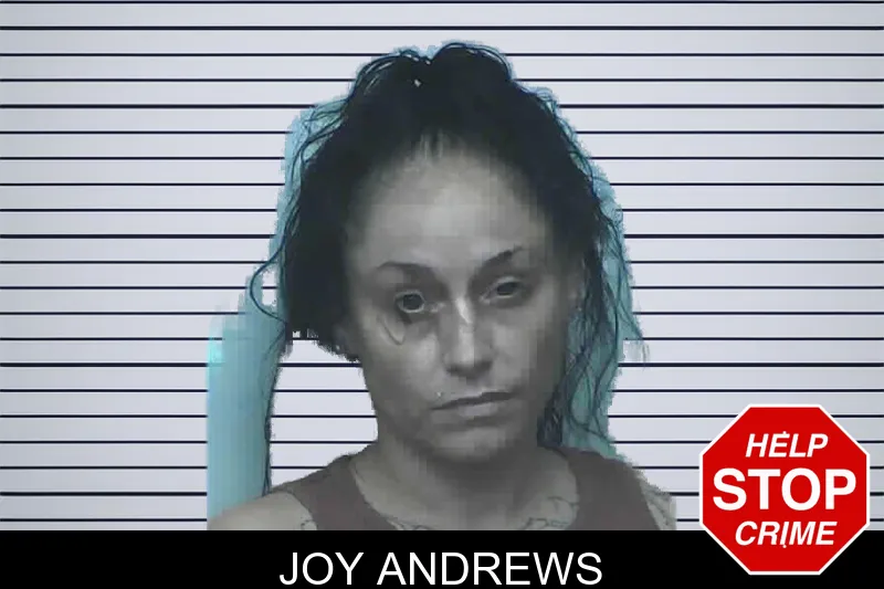 Joy Andrews mugshot – Lanier County , Georgia Joy Andrews mugshot