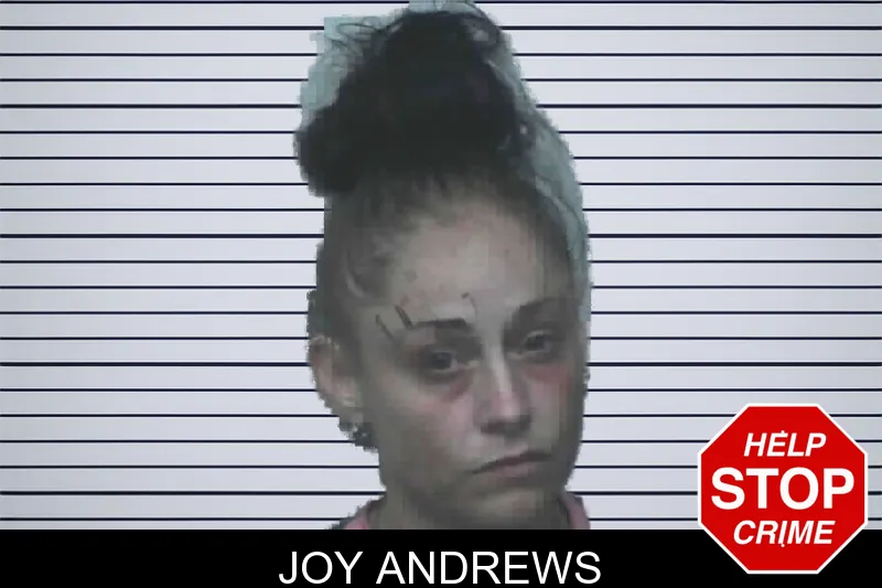 Joy Andrews mugshot – Lanier County , Georgia Joy Andrews mugshot