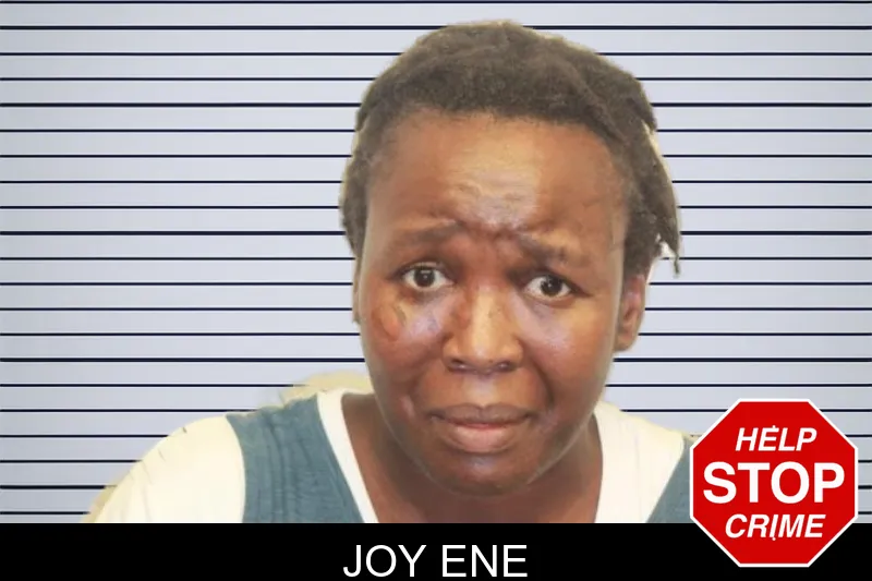 Joy Ene mugshot – Chatham County , Georgia Joy Ene mugshot