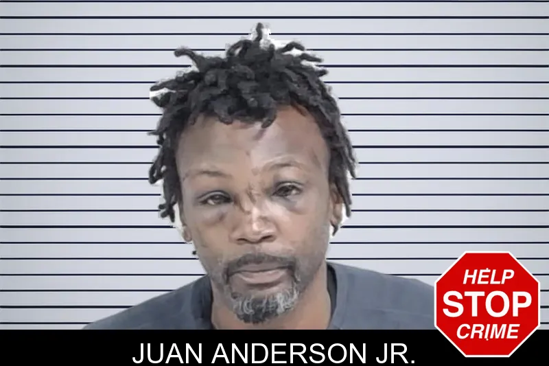 Juan Anderson Jr. mugshot