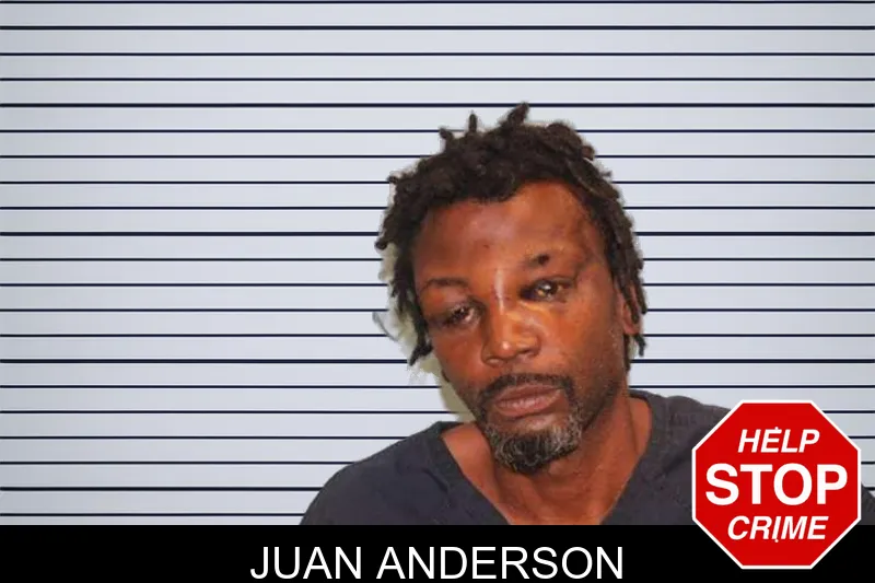 Juan Anderson mugshot – Grady County , Georgia Juan Anderson mugshot