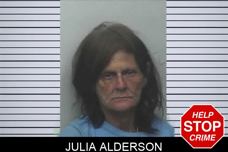 Julia Alderson mugshot – Lanier County , Georgia Julia Alderson mugshot