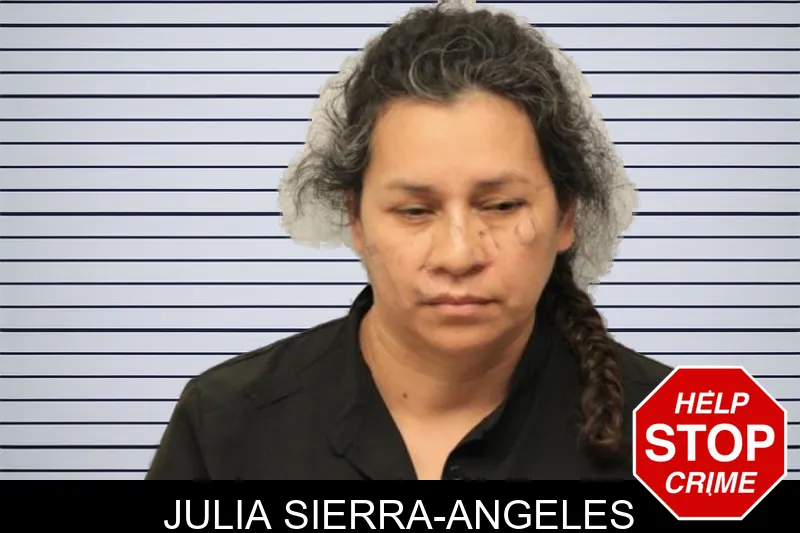 Julia Sierra-Angeles mugshot