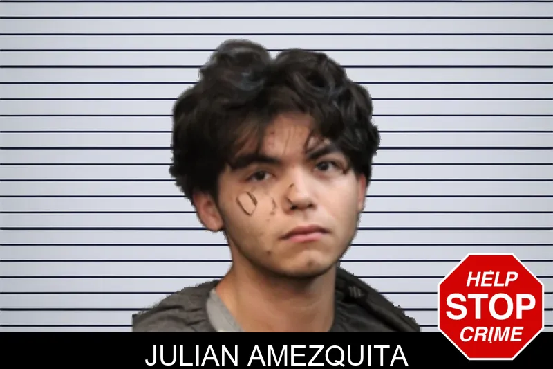 Julian Amezquita mugshot