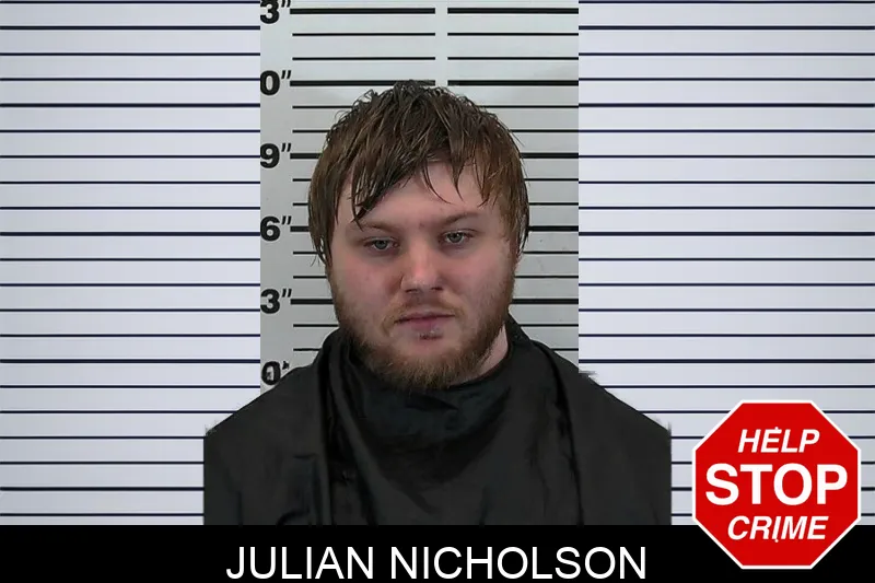 Julian Nicholson mugshot