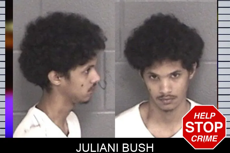 Juliani Bush mugshot – Barrow County , Georgia Juliani Bush mugshot