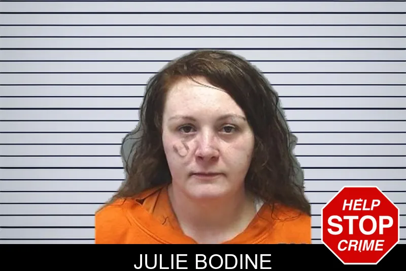 Julie Bodine mugshot