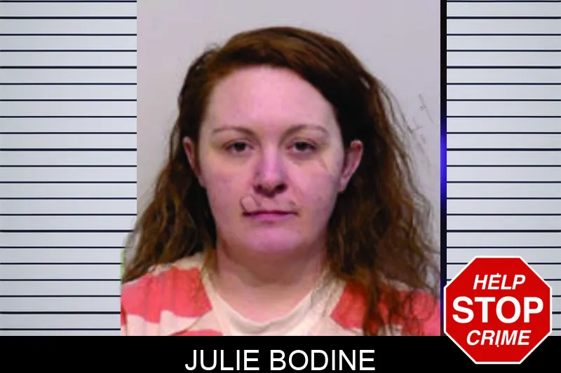 Julie Bodine mugshot