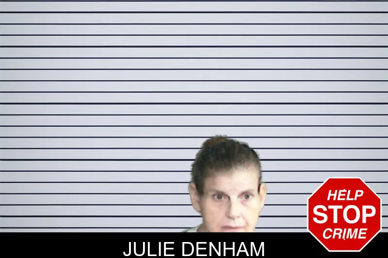 Julie Denham mugshot – Twiggs County , Georgia Julie Denham mugshot