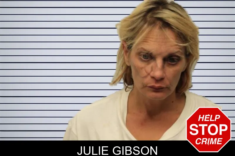Julie Gibson mugshot