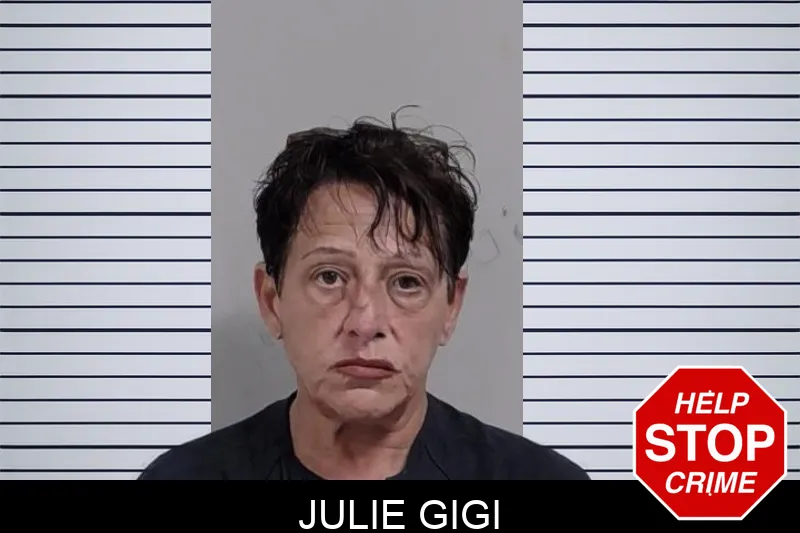 Julie Gigi mugshot – Lowndes County , Georgia Julie Gigi mugshot