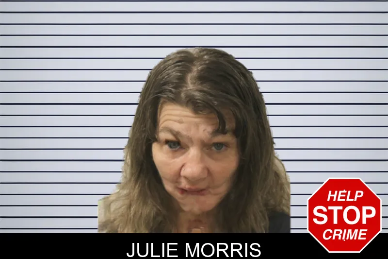 Julie Morris mugshot – Toombs County , Georgia Julie Morris mugshot