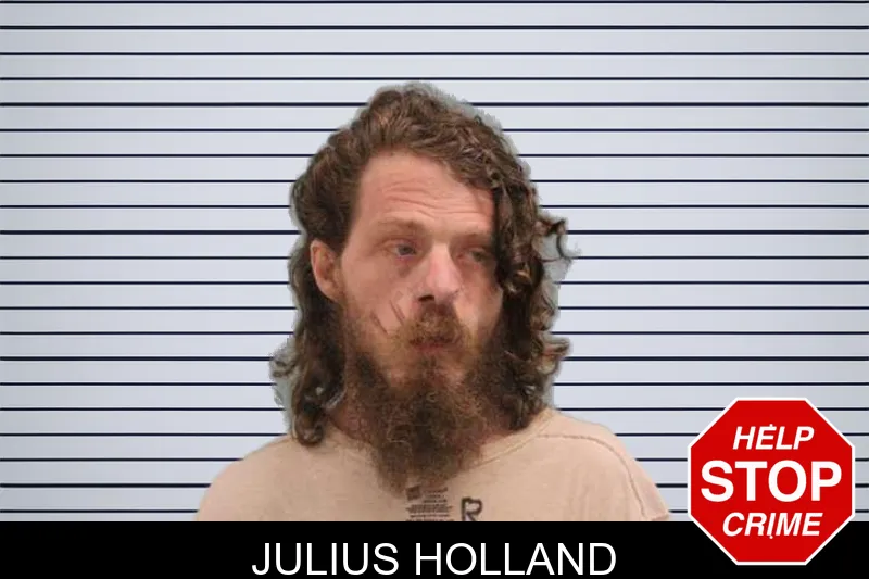 Julius Holland mugshot – Grady County , Georgia Julius Holland mugshot