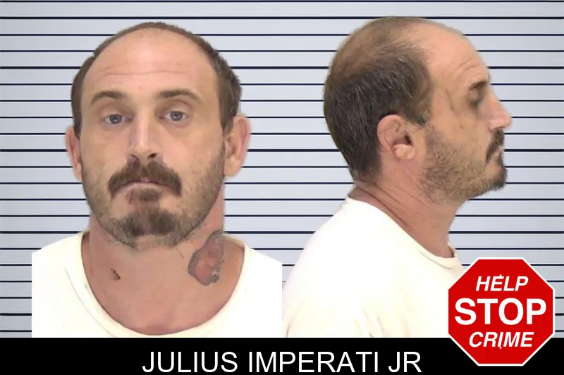 Julius Imperati Jr mugshot – Richmond County , Georgia Julius Imperati Jr mugshot