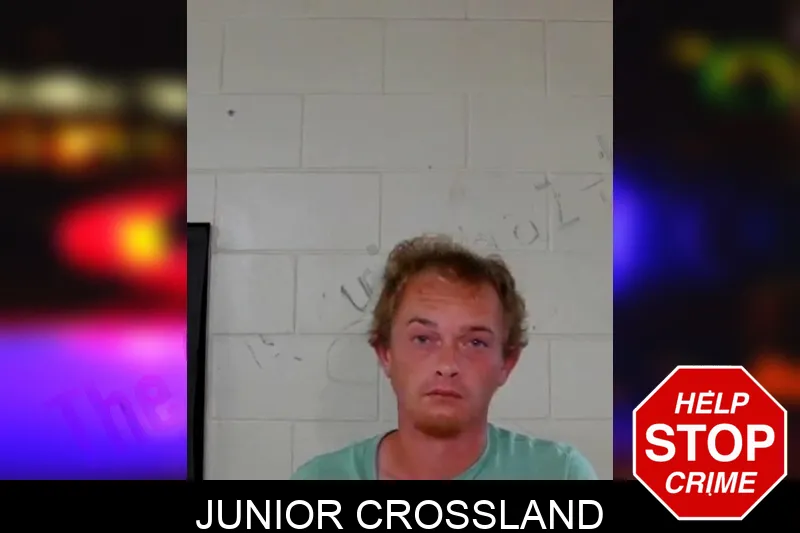 Junior Crossland mugshot – Liberty County , Georgia Junior Crossland mugshot