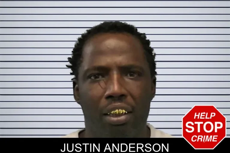 Justin Anderson mugshot – Ware County , Georgia Justin Anderson