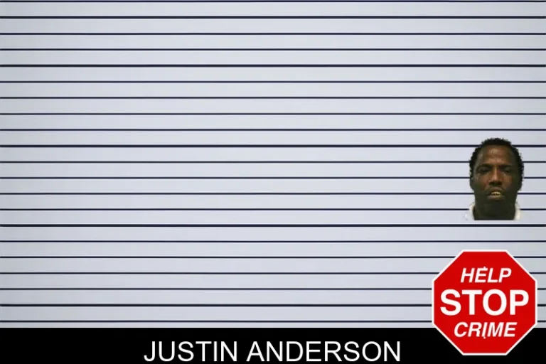 Justin Anderson mugshot – Ware County , Georgia Justin Anderson
