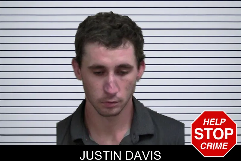 Justin Davis mugshot – Wayne County , Georgia Justin Davis mugshot