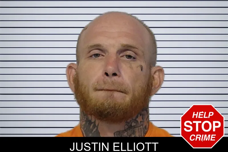 Justin Elliott mugshot – Bibb County , Georgia Justin Elliott mugshot