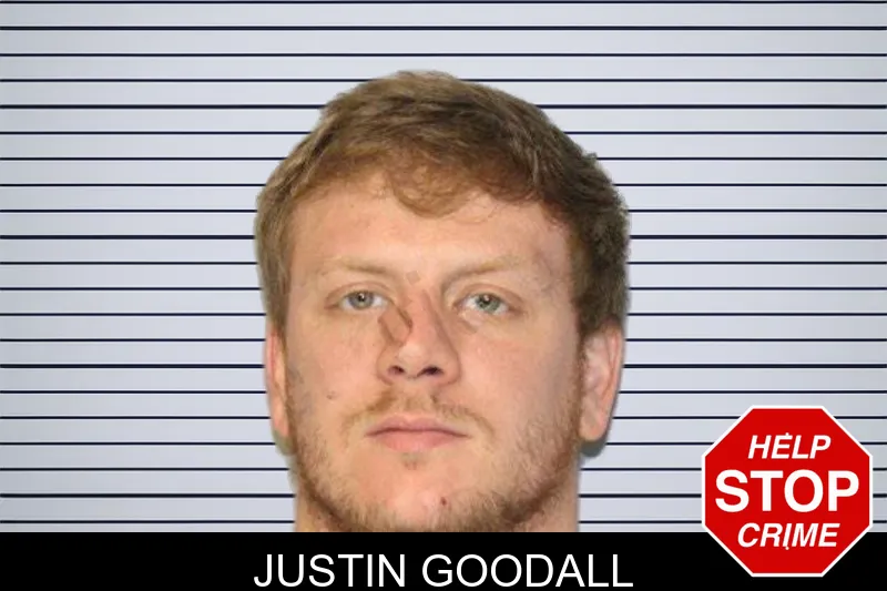 Justin Goodall mugshot – Hall County , Georgia Justin Goodall mugshot