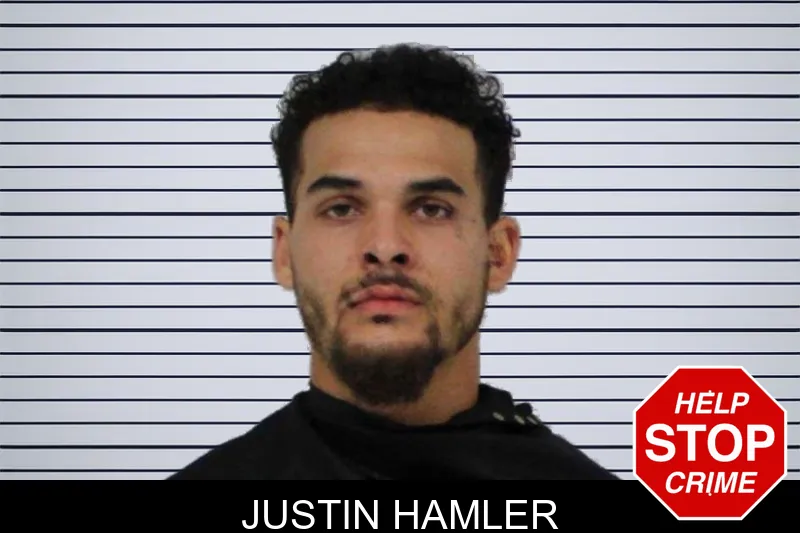 Justin Hamler mugshot – Carroll County , Georgia Justin Hamler mugshot